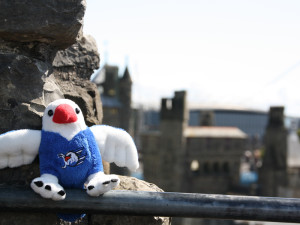 England, Cardiff-Castle